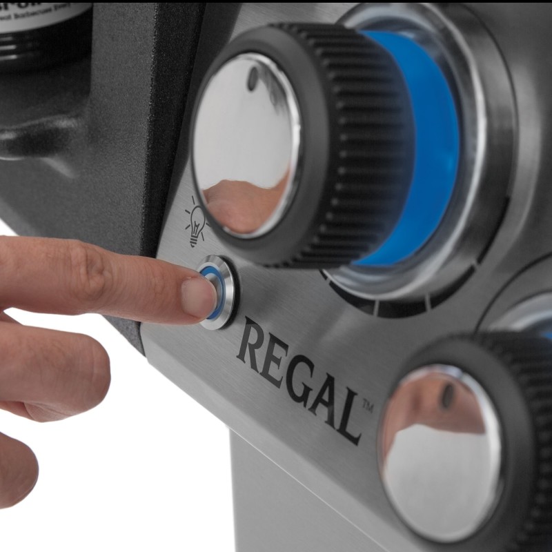 Regal 490